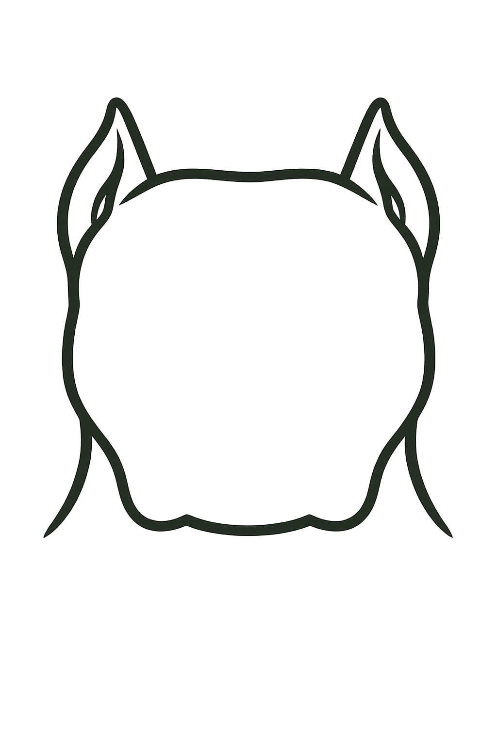 頭部特寫引導圖